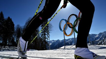 Le ski nordique, aux Jeux olympiques d'hiver,de Sotchi, f&eacute;vrier 2014. ( AFP )