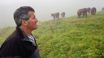 Yann regarde son troupeau de vaches, postées dans un champ au-dessus de son chalet, aux Mouilles, le 20 octobre 2015, en Haute-Savoie.&nbsp; (JULIE RASPLUS / FRANCETV INFO)