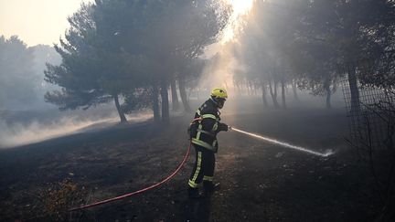 Les incendies sont fréquents l'été à Martigues, dans les Bouches-du-Rhône. En 2020, déjà, un feu avait détruit 450 hectares de végétation (CHRISTOPHE SIMON / AFP)