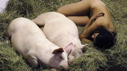 L'artiste Miru Kim a v&eacute;cu avec des porcs pendant 104 heures lors d'une performance dans le cadre d'Art Basel Miami (Floride), le 1er d&eacute;cembre 2011. (HANS DERYK / REUTERS)