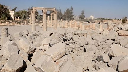 Palmyre, août 2015
 (Welayat Homs/AFP)