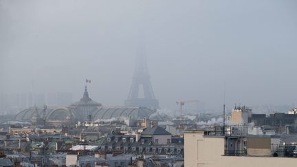 La pollution atmosphérique dans le ciel de Paris, le 21 janvier 2016. (MAXPPP)