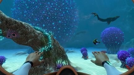 Subnautica (Unknown Worlds)