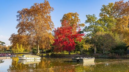 Le lac du bois de Vincennes, près de Paris, le 6 novembre 2020. (GARDEL BERTRAND / HEMIS.FR / AFP)