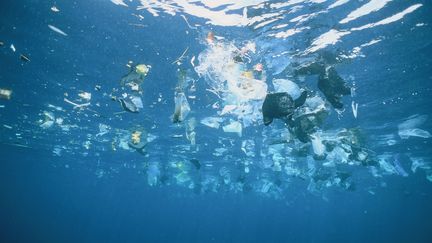 Le plastique pollue nos océans et nos mers.&nbsp; (GARY BELL / CORBIS DOCUMENTARY / GETTY IMAGES)