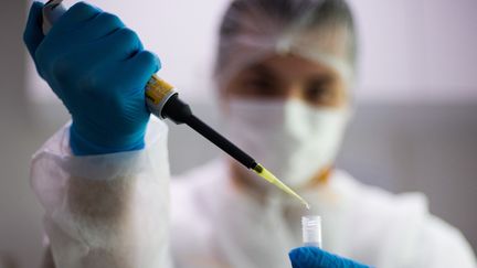 Des techniciens de laboratoire analysent des tests biologiques le 25 novembre à Paris. (NATHAN LAINE / HANS LUCAS / AFP)