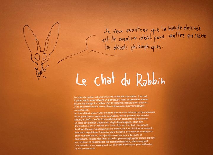 Dans l'exposition "Joann Sfar. La vie dessinée", au Musée d'art et d'histoire du judaïsme. (LCA / FRANCEINFO CULTURE)