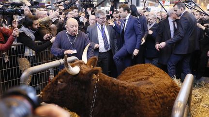 Emmanuel Macron, alors candidat à la présidentielle, au Salon de l'agriculture en mars 2017. (THOMAS SAMSON / AFP)