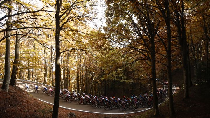 Le peloton dans la montée du Monte Bondone, lors du Giro 2020, le 21 octobre 2020. (LUCA BETTINI / AFP)