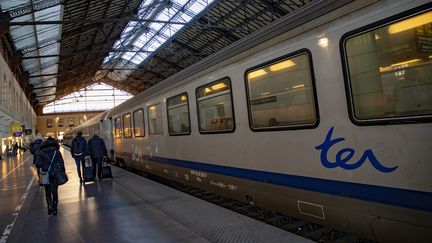 Un TER en&nbsp;gare de Marseille-Saint-Charles, le 14 janvier 2019. (SPEICH FREDERIC / MAXPPP)