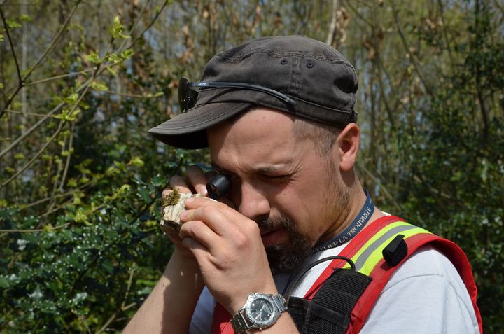 Guillaume Raoult, g&eacute;ologue chez Variscan, examine &agrave; la loupe un morceau de roche pr&eacute;lev&eacute; dans le bois de la Rouill&egrave;re,&nbsp;le 15 avril 2015 &agrave; Montrevault (Maine-et-Loire). (THOMAS BAIETTO / FRANCETV INFO)