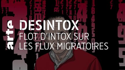 Désintox. Non, il n'y a pas 2 millions d'immigrés qui se sont installés en France durant le quinquennat d'Emmanuel Macron (ARTE/2P2L)