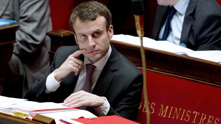 Emmanuel Macron, samedi 14 f&eacute;vrier 2015 &agrave; l'Assembl&eacute;e nationale, &agrave; Paris. (ALAIN JOCARD / AFP)
