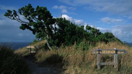 L'île de Grande-Terre en Guadeloupe, le 29 mars 2021. (ROSINE MAZIN / MAZIN ROSINE)