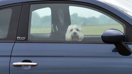 Automobile : bientôt des voitures sans conducteurs sur les autoroutes ?