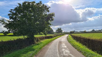 Un paysage de bocage, en Bourgogne. (KARINE DECALF/RADIO FRANCE)