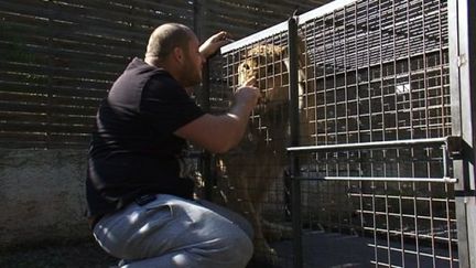 Hérault : un habitant refuse de se séparer de son lion