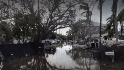 Des villes entières dévastées après le passage des ouragans Hélène et Milton. En pleine campagne présidentielle, Donald Trump n’hésite pas à utiliser ces catastrophes pour répandre de nombreuses fausses nouvelles.