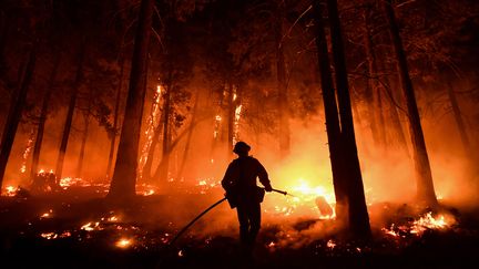 Un feu de forêt à&nbsp;Wofford Heights (Californie), le 25 août 2021. (PATRICK T. FALLON / AFP)