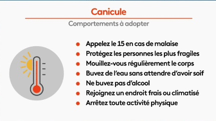 Canicule : quels sont les bons réflexes ? (France 2)