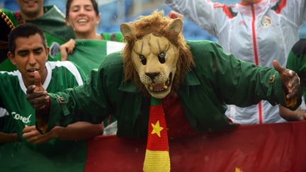 Ce supporter du Cameroun arbore fi&egrave;rement son masque de lion. Mais son &eacute;quipe s'est inclin&eacute;e contre le Mexique (0-1), le 13 juin &agrave; Natal. (  MAXPPP)