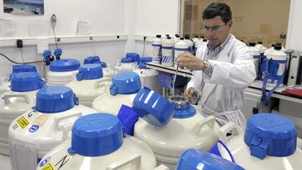 Le Pr Jean-François Guérin, à la tête du Centre d'étude et de conservation des oeufs et du sperme de Lyon. (AFP/PHILIPPE DESMAZES)