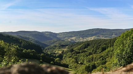 Vue générale de la montagne bourbonnaise, une région couvrant le sud-est du département de l Allier, en août 2023. (ADRIEN FILLON / HANS LUCAS / AFP)