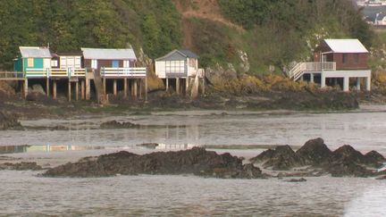 Saint-Brieuc : le combat des habitants pour sauver leur plage