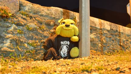 La mascotte des opposants à la réintroduction de l'ours, le 29 septembre 2018 à Sarrance (Pyrénées-Atlantiques). (THOMAS BAIETTO / FRANCEINFO)