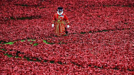 Le champ de coquelicots autour de la Tour de Londres sera achevé le 11 novembre pour les commémorations du centenaire  de la Grande Guerre 
 (BEN STANSALL / AFP)