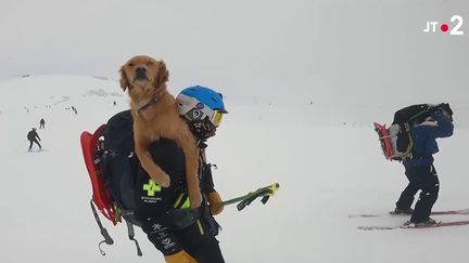 Les chiens secouristes sont formés avec leur maître dans la station iséroise des Deux-Alpes. Ils peuvent intervenir en cas d’avalanche. (France 2)