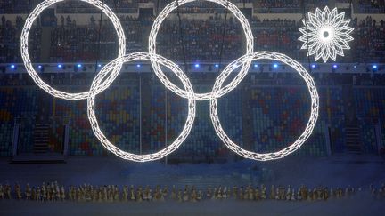 C&eacute;r&eacute;monie d'ouverture des JO d'hiver de Sotchi&nbsp;(Russie),&nbsp;le 7 f&eacute;vrier 2014. (YURI KADOBNOV / AFP)