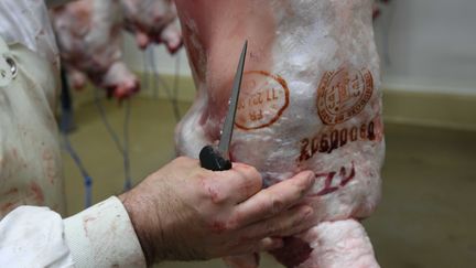 Un employ&eacute; d'un abattoir situ&eacute; pr&egrave;s de Paris&nbsp;tue un mouton selon le rite juif, le 29 f&eacute;vrier 2012.&nbsp; (GUTNER / SIPA)