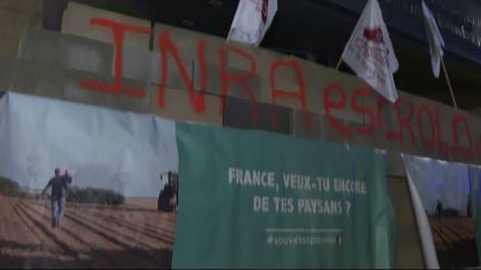 Colère des agriculteurs : le mouvement bat son plein, mais va-t-il durer ?