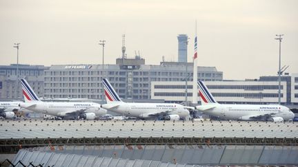 Des avions Air France stationn&eacute;s &agrave; l'a&eacute;roport de Roissy-Charles-de-Gaulle, le 7 f&eacute;vrier 2012.&nbsp; (BERTRAND GUAY / AFP)