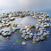 Le projet Oceanix City pourrait accueillir 10 000 habitants. (OCEANIX / BIG - BJARKE INGELS GROUP)