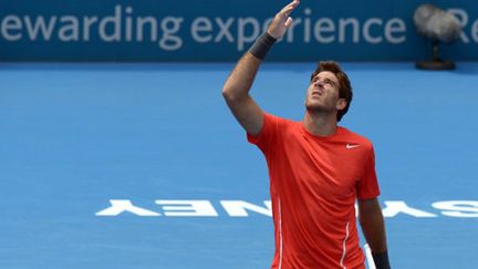 Le joueur argentin Juan Martin Del Potro