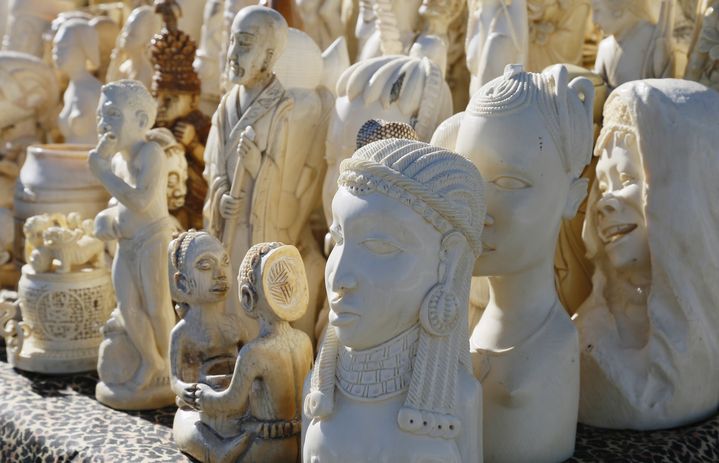 Des sculptures en ivoire import&eacute;es ill&eacute;galement aux Etats-Unis, expos&eacute;es avant leur destruction, &agrave; Denver, dans le Colorado, le 14 novembre 2013.&nbsp; (RICK WILKING / REUTERS )