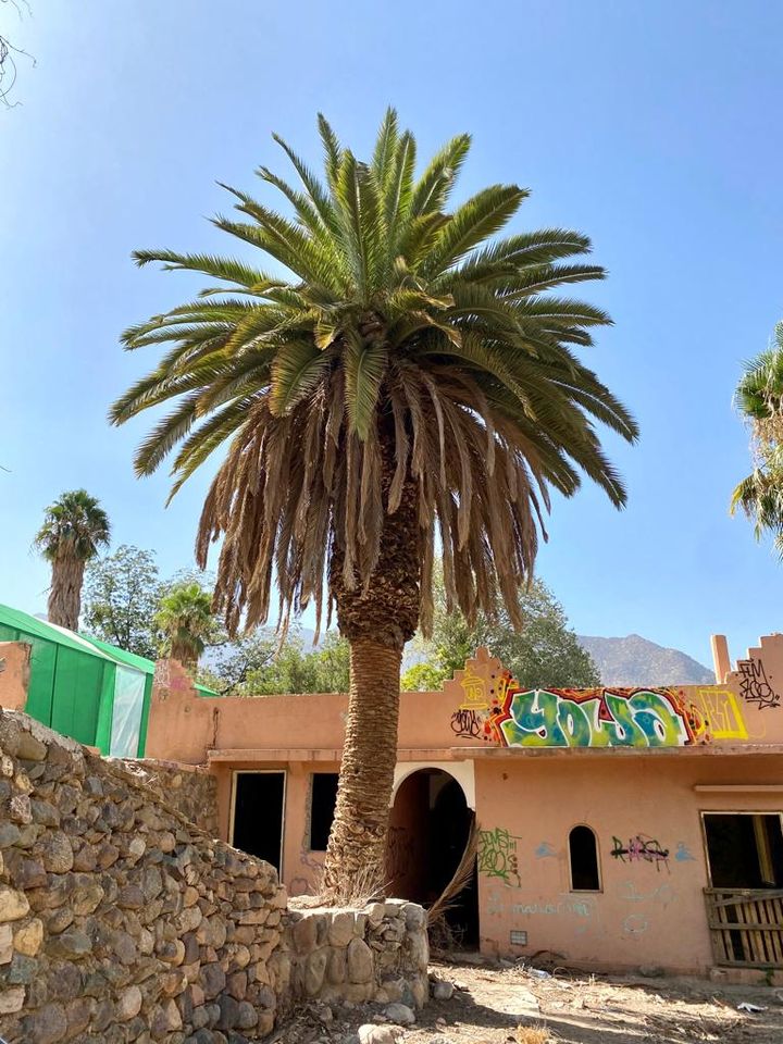 In the Talaat n'Yacout region, around fifteen kilometers from the epicenter of the September 8 earthquake.  (MARIUS BOULESTEIX)