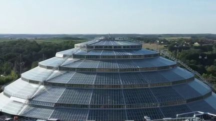 Une jungle en pleine Sologne, c'est le nouveau pari fou du zoo de Beauval (Loir-et-Cher). Après ses pandas chinois et sa télécabine, le zoo vient d'inaugurer un gigantesque dôme tropical.&nbsp; (FRANCE 2)