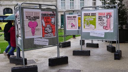 Des festivaliers passent devant les panneaux &eacute;lectoraux d'Angoul&ecirc;me recouverts des "unes" de Charlie Hebdo, le 30 janvier 2015, lors du festival de la BD.&nbsp; (JULIE RASPLUS / FRANCETV INFO)