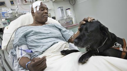 Cecil Williams et son chien Orlando,&nbsp;&agrave; l'h&ocirc;pital, apr&egrave;s avoir chut&eacute; sur les voies du m&eacute;tro, &agrave; New York, le 17 d&eacute;cembre 2013. (JOHN MINCHILLO / AP / SIPA)