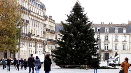 Le sapin de Noël de la municipalité de Bordeaux, place Pey Berland, en novembre 2016. (BONNAUD GUILLAUME / MAXPPP)