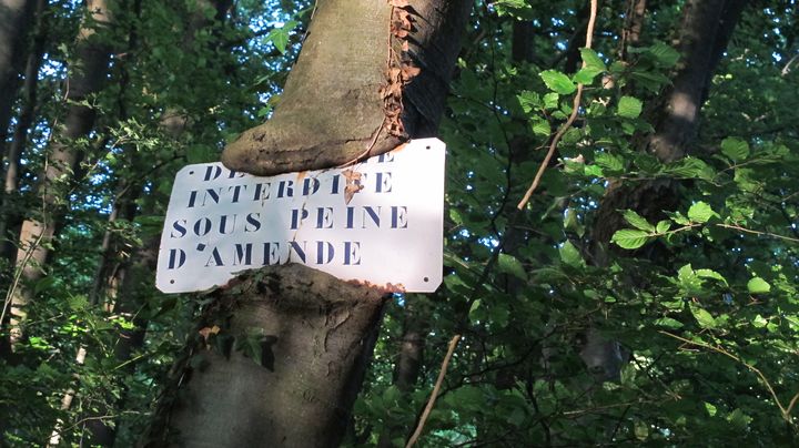 Sur place, des panneaux rappellent aux promeneurs que les parcelles foresti&egrave;res sont priv&eacute;es. (F. MAGNENOU / FRANCETV INFO)