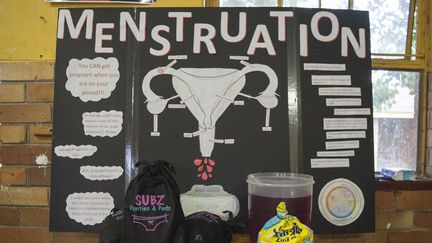 Une affiche utilisée pour éduquer les filles sur la menstruation et le système de reproduction féminin, le 21 février 2015 au lycée Madibane de Soweto, district de Johannesburg. (STEFAN HEUNIS / AFP)