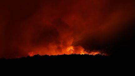 D'impressionnants incendies à Tenerife (Espagne), le 16 août 2023. (ACFIPRESS / NURPHOTO / AFP)