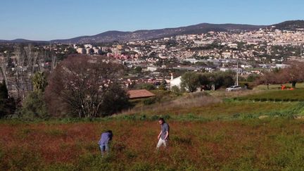 Terres agricoles : l’association Terre Adonis aide les jeunes agriculteurs à s’installer