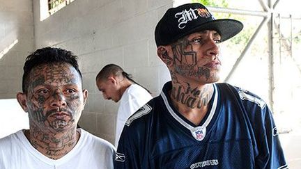 Le 31 janvier 2013, des membres de la Mara Salvatrucha (MS-13) et de la Mara 18, les deux principaux gangs du Salvador, expliquent en direct d’une prison de Quezaltepeque pourquoi et comment la ville est devenue une zone de paix, «une ville sanctuarisée».  (AFP PHOTO/ Juan CARLOS)