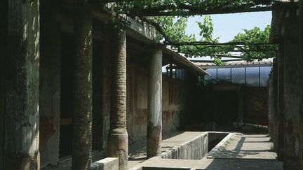 Une pergola de la maison de Loreius Tiburtinus, à Pompéi
 (The Art Archive / Gianni Dagli Orti)