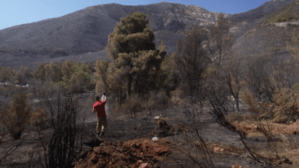 Incendie en Grèce : mobilisés pour résister aux flammes, les habitants sont dans le désarroi (France 2)